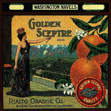 Rialto Orange