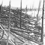 Tunguska
